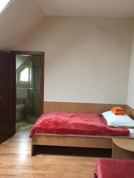 Napfeny Panzio Es Rendezvenyhaz Hotel Kecskemét Exterior foto